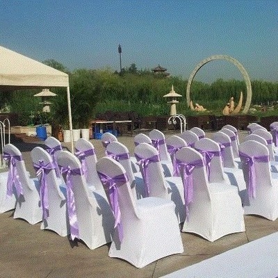 宴會椅（藕荷色背花）03